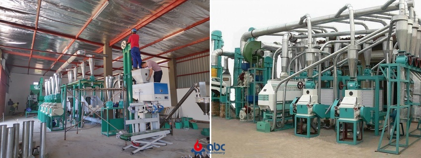 large maize milling plant cost