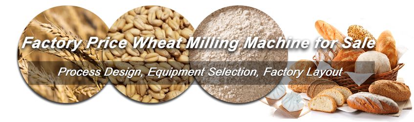 control the wheat milling machine price for your business plan