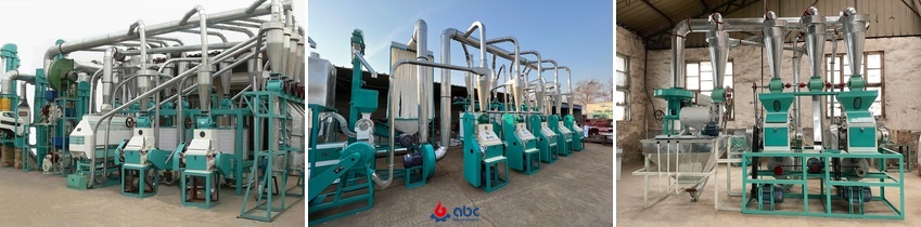 Scalable maize flour mill cost