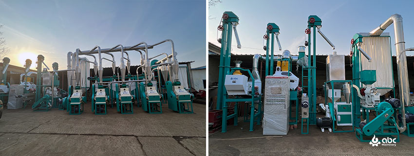 flour processing plant cost