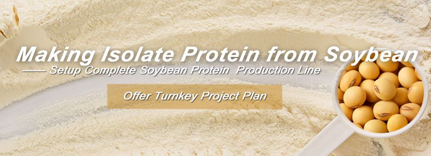 Making Protein from Soybean