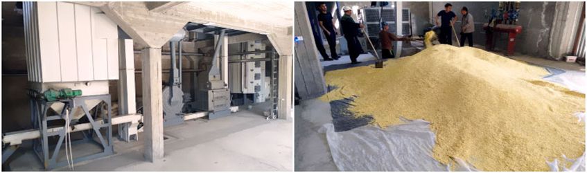 soybean pretreatment process