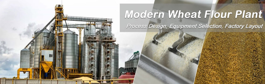 start modern wheat flour plant