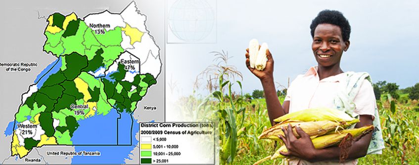 start maize milling business plan in uganda