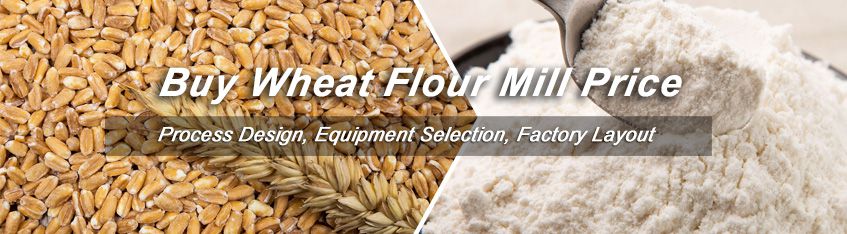 Setup Modern Wheat Flour Manufacturing Plant