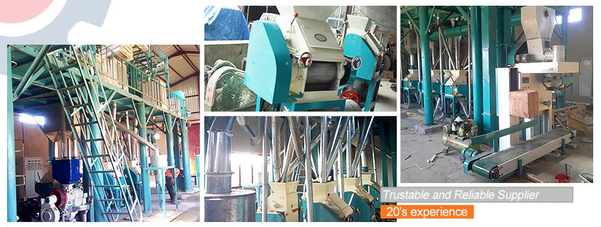 Sucessful Corn Flour Milling Machine Plant