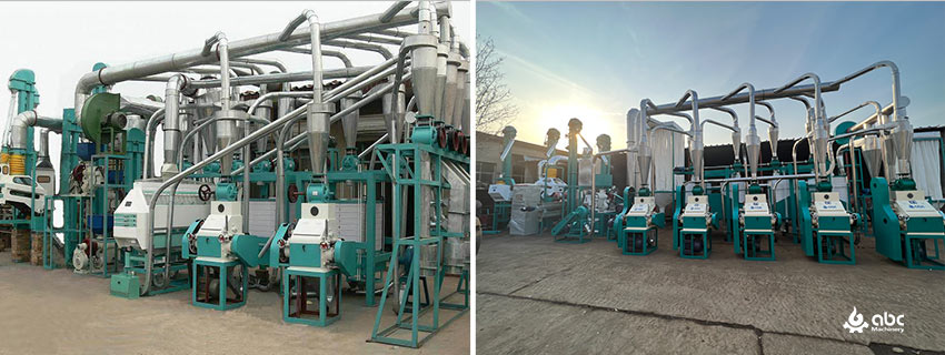 large maize flour plant cost