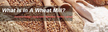 A Closer Look at A Wheat Flour Mill Plant