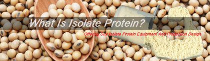Unlocking the Secrets of Isolate Protein and Prodcution Plant