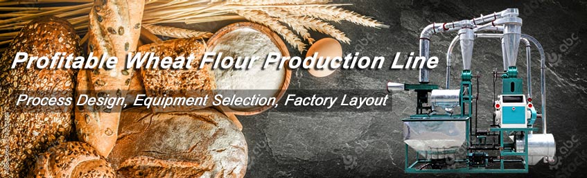 wheat-flour-mill-plant-project-cost
