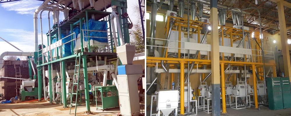 complete wheat flour mill plant cost