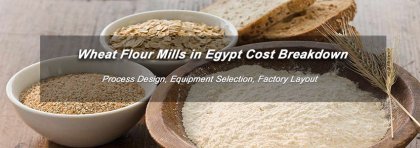 Wheat Flour Mills in Egypt Cost Breakdown