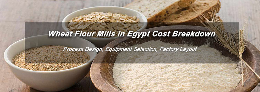 Wheat Flour Milling Costs Breakdown in Egypt