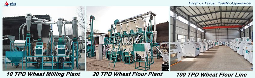 wheat floru plants for wheat milling companies