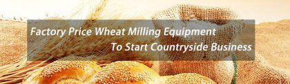 What Equipment To Buy For Wheat Milling Countryside Business?