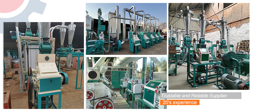 small scale wheat milling plant setup aroudn the world